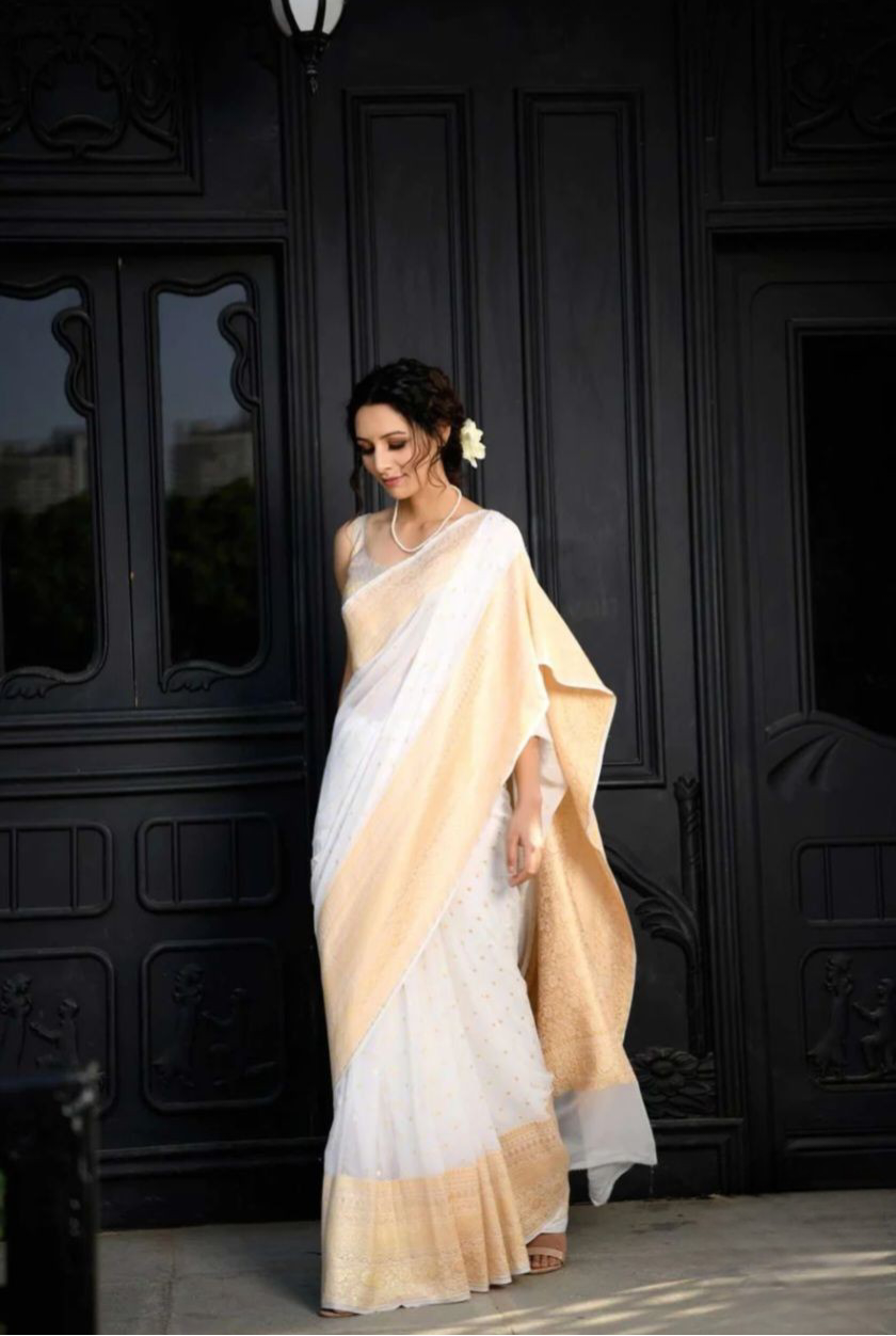 Khaddi Georgette Banarasi Saree - Gold zari